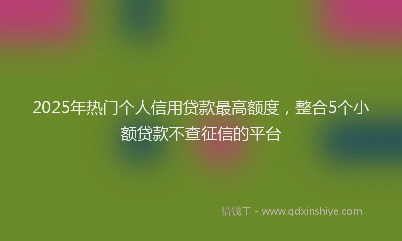2025年热门个人信用贷款最高额度，整合5个小额贷款不查征信的平台