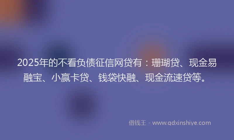 2025年的不看负债征信网贷有：珊瑚贷、现金易融宝、小赢卡贷、钱袋快融、现金流速贷等。