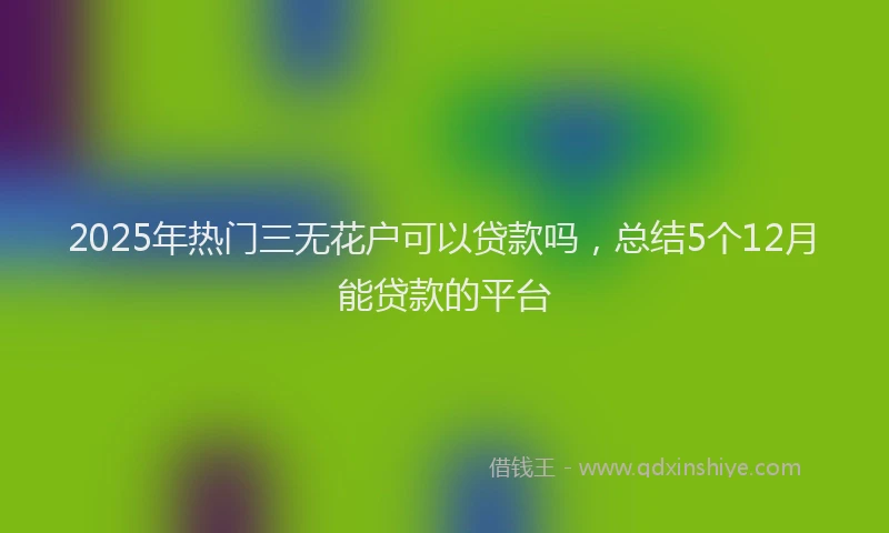 2025年热门三无花户可以贷款吗，总结5个12月能贷款的平台