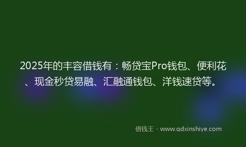 2025年的丰容借钱有：畅贷宝Pro钱包、便利花、现金秒贷易融、汇融通钱包、洋钱速贷等。