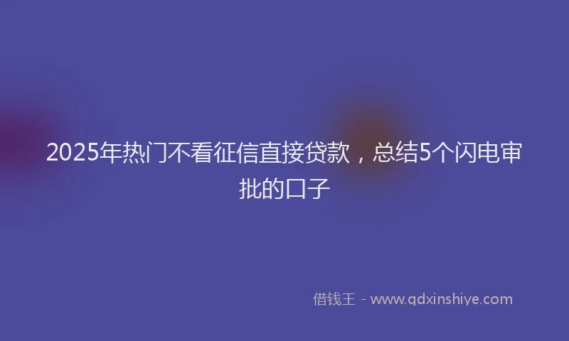 2025年热门不看征信直接贷款，总结5个闪电审批的口子