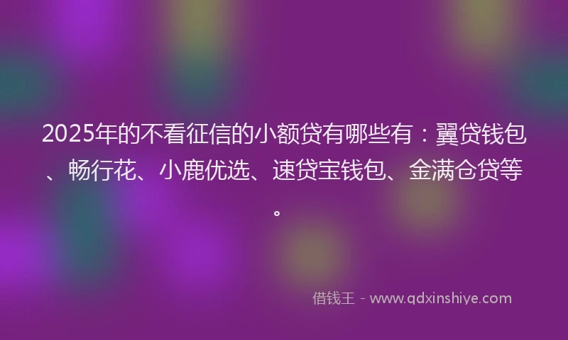 2025年的不看征信的小额贷有哪些有：翼贷钱包、畅行花、小鹿优选、速贷宝钱包、金满仓贷等。