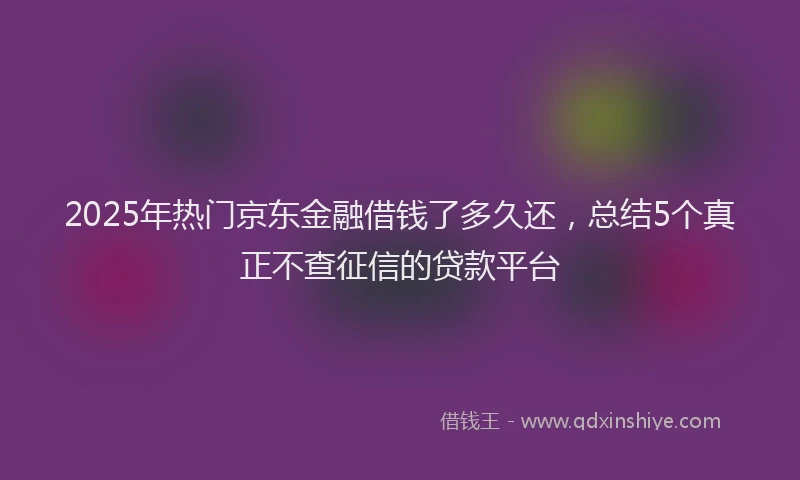 2025年热门京东金融借钱了多久还，总结5个真正不查征信的贷款平台