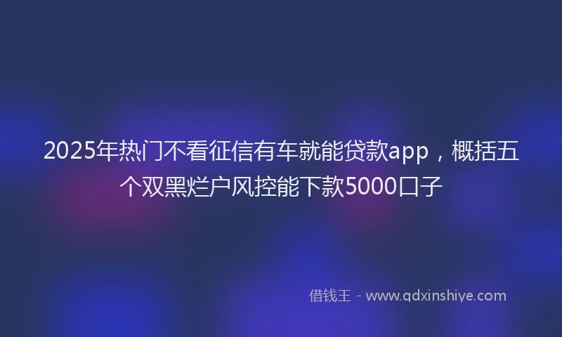 2025年热门不看征信有车就能贷款app，概括五个双黑烂户风控能下款5000口子