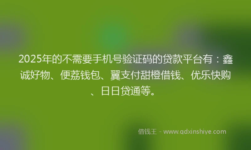 2025年的不需要手机号验证码的贷款平台有：鑫诚好物、便荔钱包、翼支付甜橙借钱、优乐快购、日日贷通等。