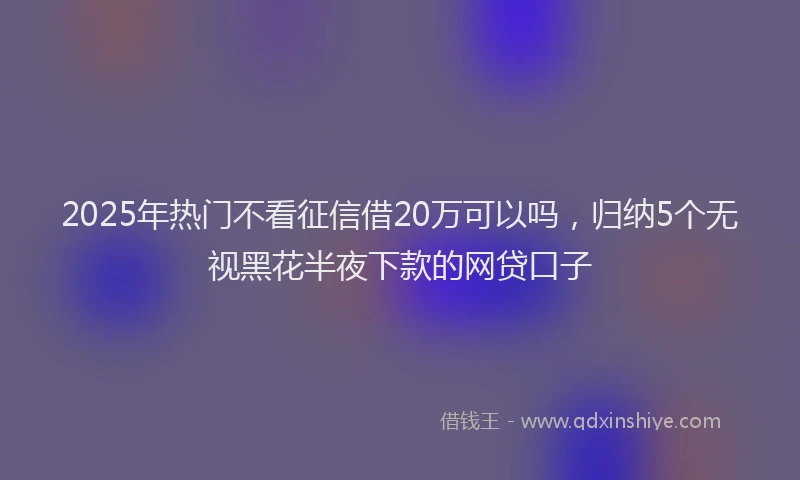 2025年热门不看征信借20万可以吗，归纳5个无视黑花半夜下款的网贷口子