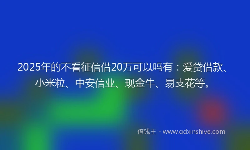 2025年的不看征信借20万可以吗有：爱贷借款、小米粒、中安信业、现金牛、易支花等。