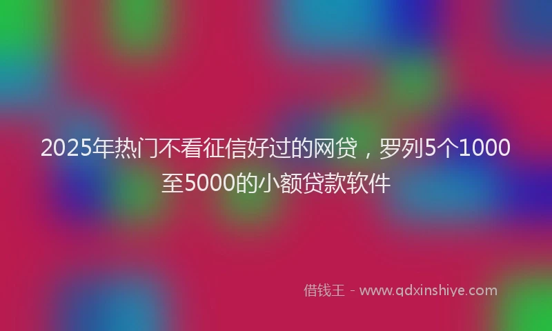 2025年热门不看征信好过的网贷，罗列5个1000至5000的小额贷款软件