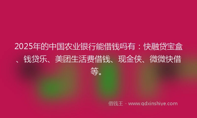2025年的中国农业银行能借钱吗有：快融贷宝盒、钱贷乐、美团生活费借钱、现金侠、微微快借等。