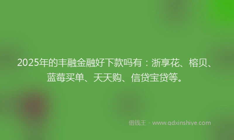 2025年的丰融金融好下款吗有：浙享花、榕贝、蓝莓买单、天天购、信贷宝贷等。