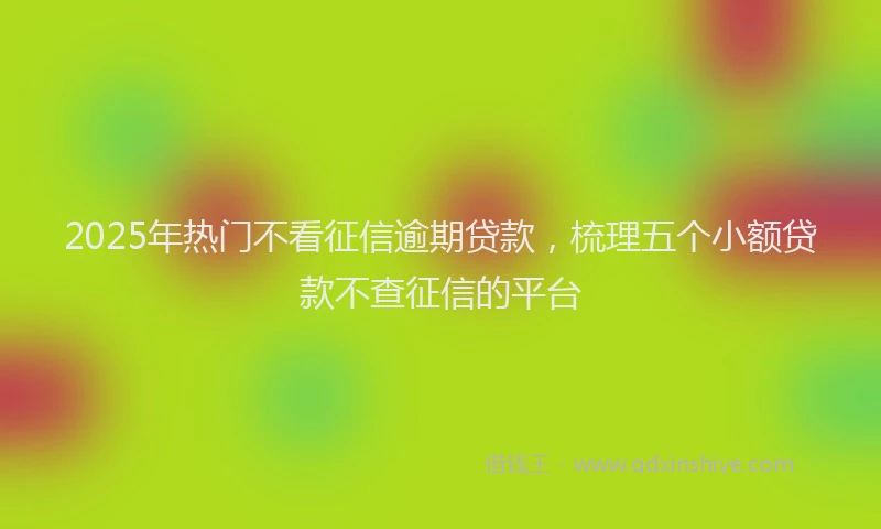 2025年热门不看征信逾期贷款，梳理五个小额贷款不查征信的平台