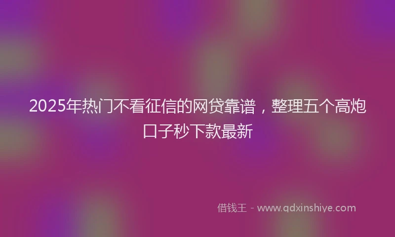 2025年热门不看征信的网贷靠谱，整理五个高炮口子秒下款最新