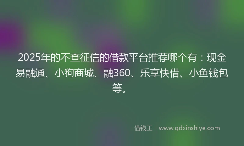 2025年的不查征信的借款平台推荐哪个有：现金易融通、小狗商城、融360、乐享快借、小鱼钱包等。