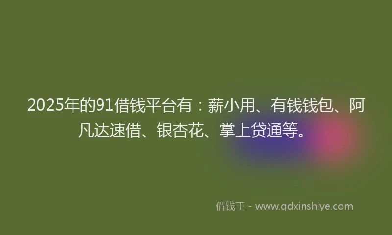 2025年的91借钱平台有：薪小用、有钱钱包、阿凡达速借、银杏花、掌上贷通等。
