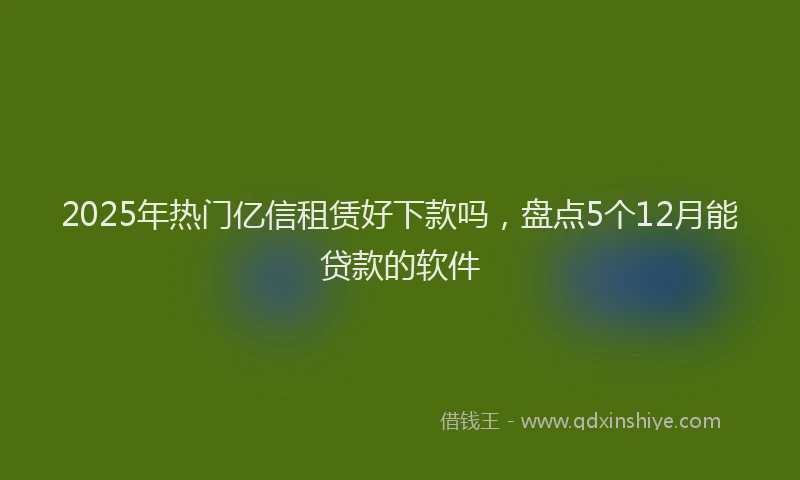 2025年热门亿信租赁好下款吗，盘点5个12月能贷款的软件