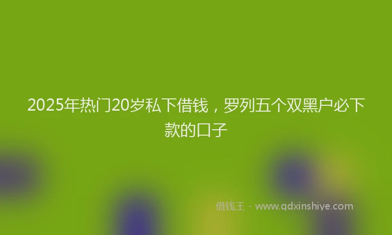 2025年热门20岁私下借钱，罗列五个双黑户必下款的口子