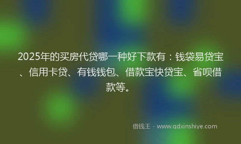 2025年的买房代贷哪一种好下款有：钱袋易贷宝、信用卡贷、有钱钱包、借款宝快贷宝、省呗借款等。
