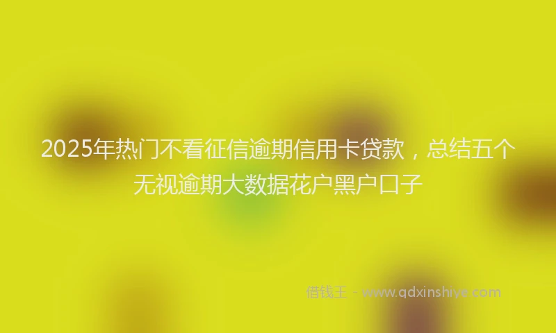 2025年热门不看征信逾期信用卡贷款，总结五个无视逾期大数据花户黑户口子