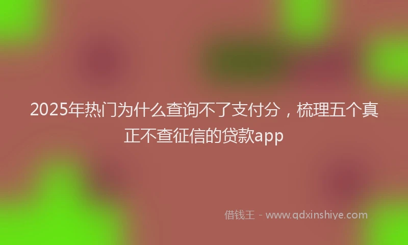 2025年热门为什么查询不了支付分，梳理五个真正不查征信的贷款app