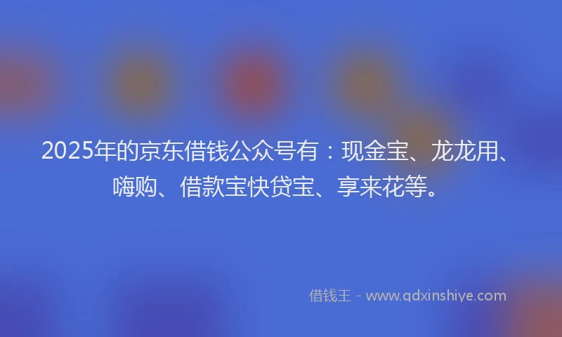 2025年的京东借钱公众号有：现金宝、龙龙用、嗨购、借款宝快贷宝、享来花等。