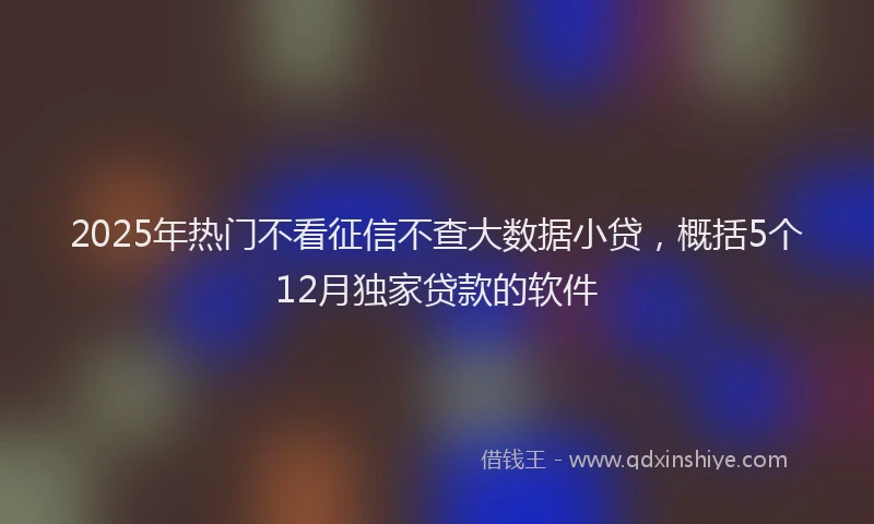 2025年热门不看征信不查大数据小贷，概括5个12月独家贷款的软件
