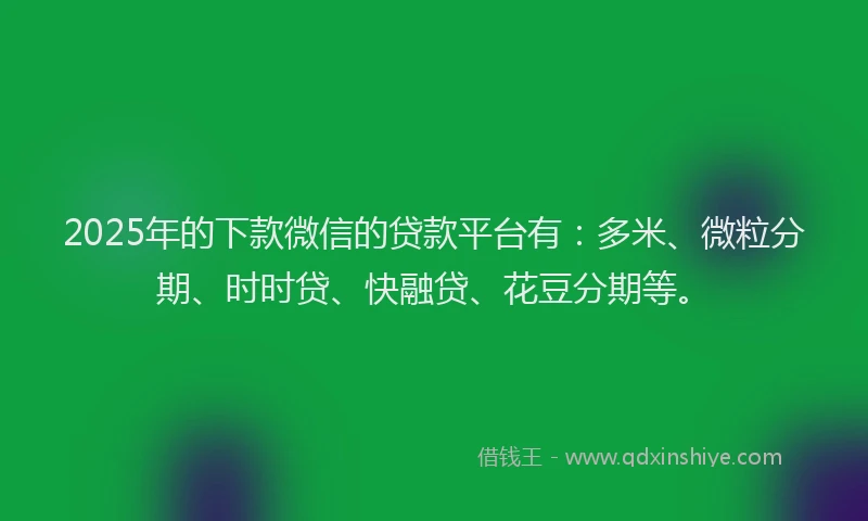 2025年的下款微信的贷款平台有：多米、微粒分期、时时贷、快融贷、花豆分期等。