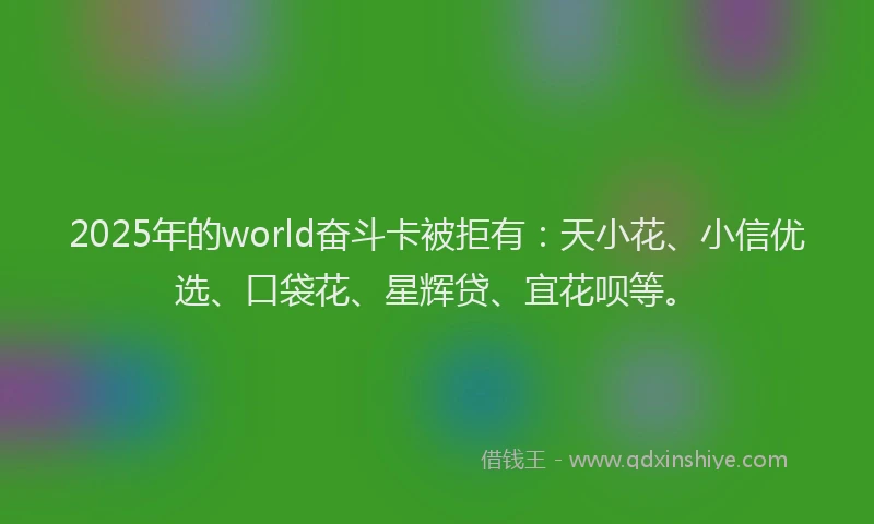2025年的world奋斗卡被拒有：天小花、小信优选、口袋花、星辉贷、宜花呗等。