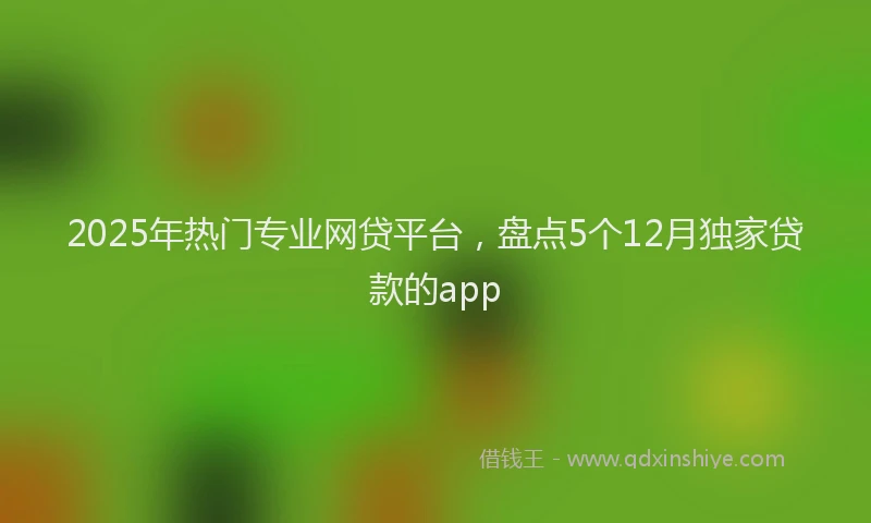 2025年热门专业网贷平台，盘点5个12月独家贷款的app