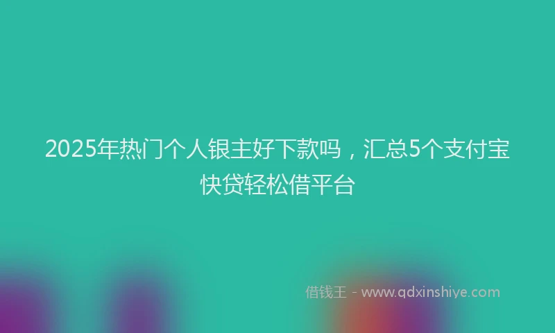 2025年热门个人银主好下款吗，汇总5个支付宝快贷轻松借平台