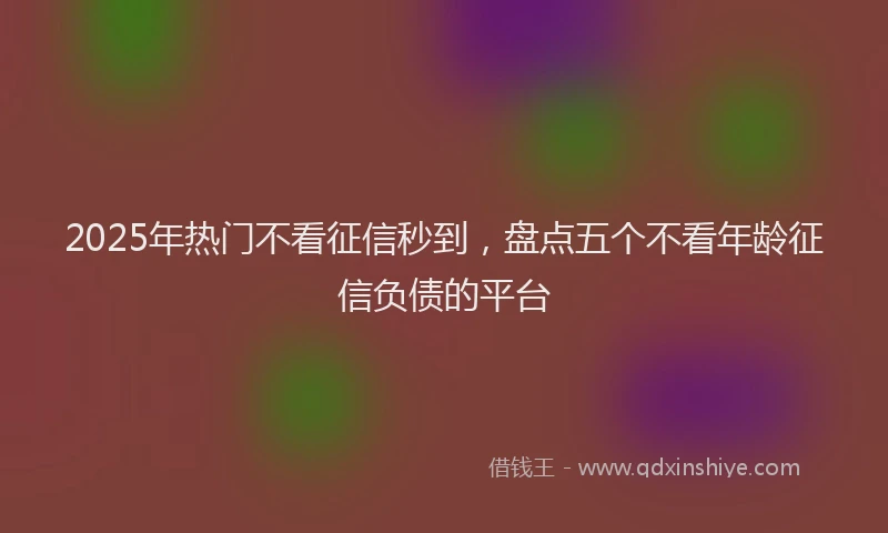 2025年热门不看征信秒到，盘点五个不看年龄征信负债的平台