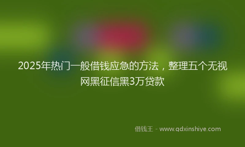 2025年热门一般借钱应急的方法，整理五个无视网黑征信黑3万贷款