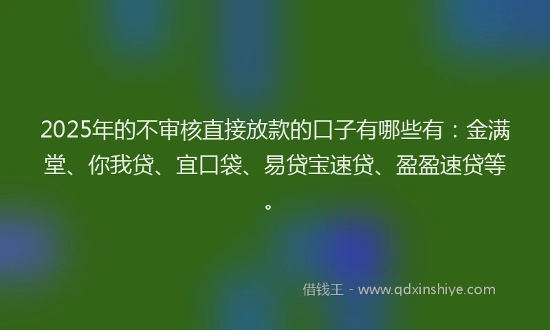 2025年的不审核直接放款的口子有哪些有：金满堂、你我贷、宜口袋、易贷宝速贷、盈盈速贷等。