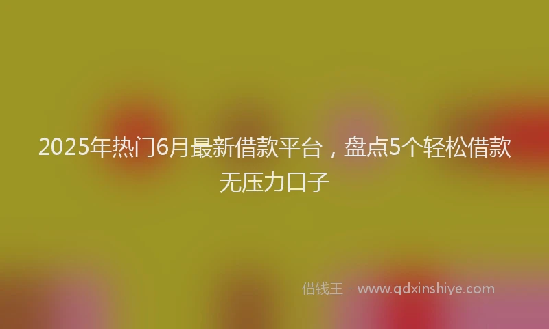 2025年热门6月最新借款平台，盘点5个轻松借款无压力口子