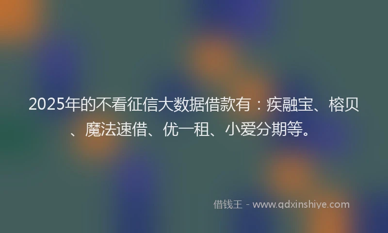 2025年的不看征信大数据借款有：疾融宝、榕贝、魔法速借、优一租、小爱分期等。