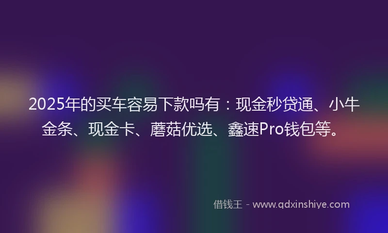 2025年的买车容易下款吗有：现金秒贷通、小牛金条、现金卡、蘑菇优选、鑫速Pro钱包等。