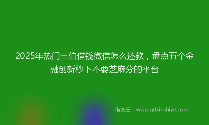 2025年热门三伯借钱微信怎么还款，盘点五个金融创新秒下不要芝麻分的平台