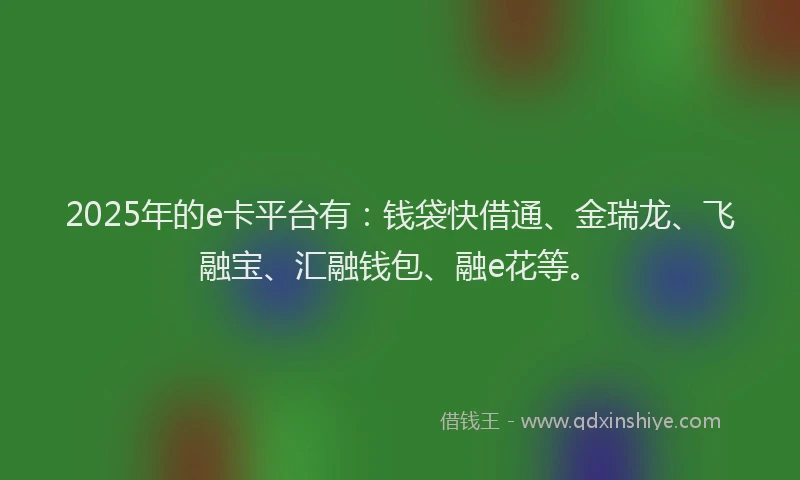 2025年的e卡平台有：钱袋快借通、金瑞龙、飞融宝、汇融钱包、融e花等。