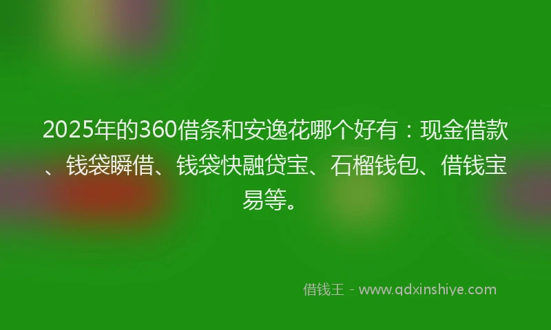 2025年的360借条和安逸花哪个好有：现金借款、钱袋瞬借、钱袋快融贷宝、石榴钱包、借钱宝易等。