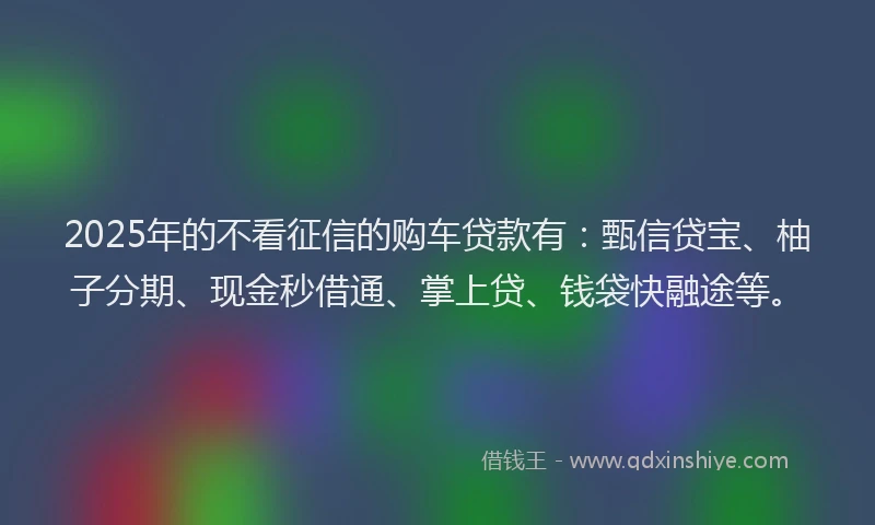 2025年的不看征信的购车贷款有：甄信贷宝、柚子分期、现金秒借通、掌上贷、钱袋快融途等。