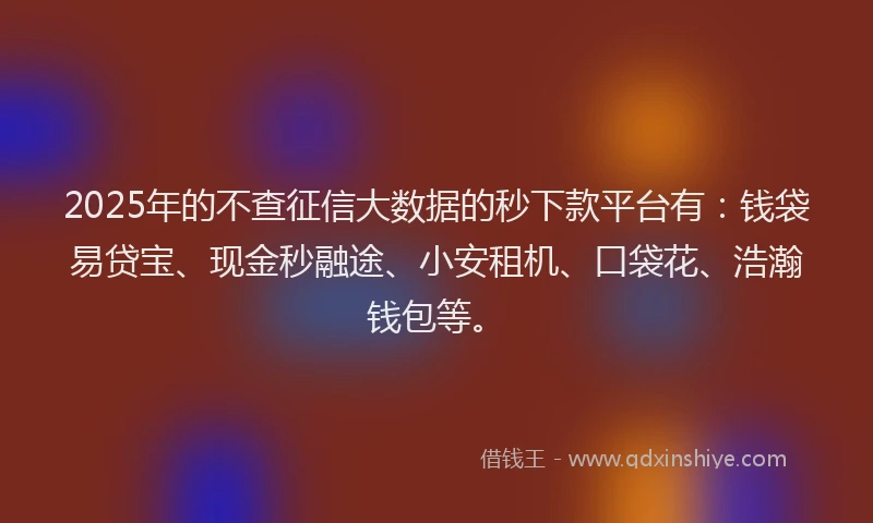 2025年的不查征信大数据的秒下款平台有：钱袋易贷宝、现金秒融途、小安租机、口袋花、浩瀚钱包等。