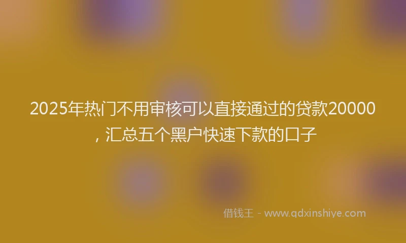 2025年热门不用审核可以直接通过的贷款20000，汇总五个黑户快速下款的口子