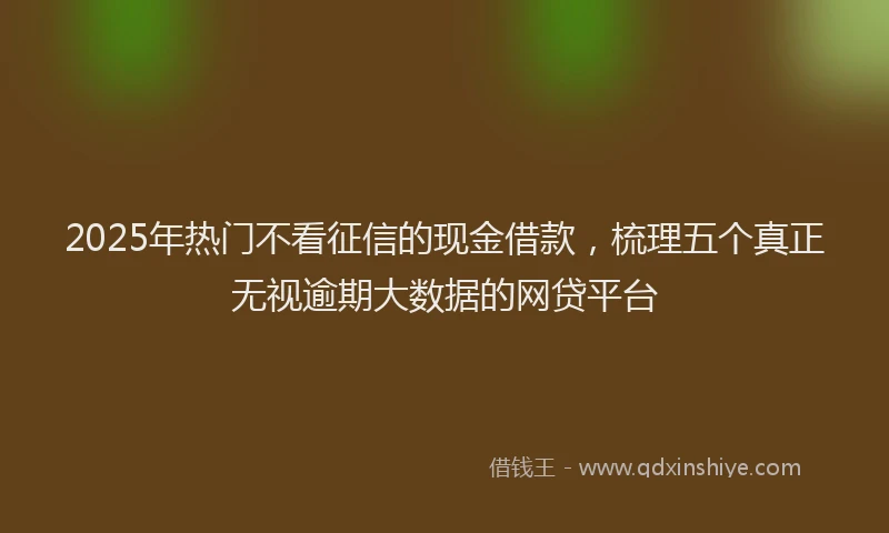 2025年热门不看征信的现金借款，梳理五个真正无视逾期大数据的网贷平台