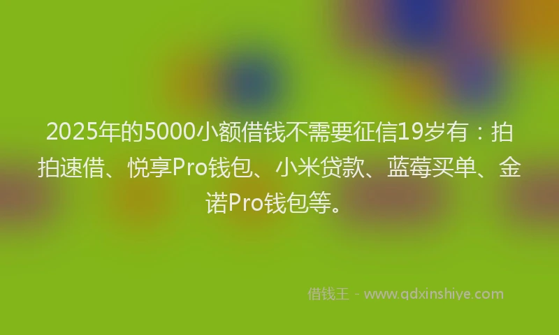 2025年的5000小额借钱不需要征信19岁有：拍拍速借、悦享Pro钱包、小米贷款、蓝莓买单、金诺Pro钱包等。