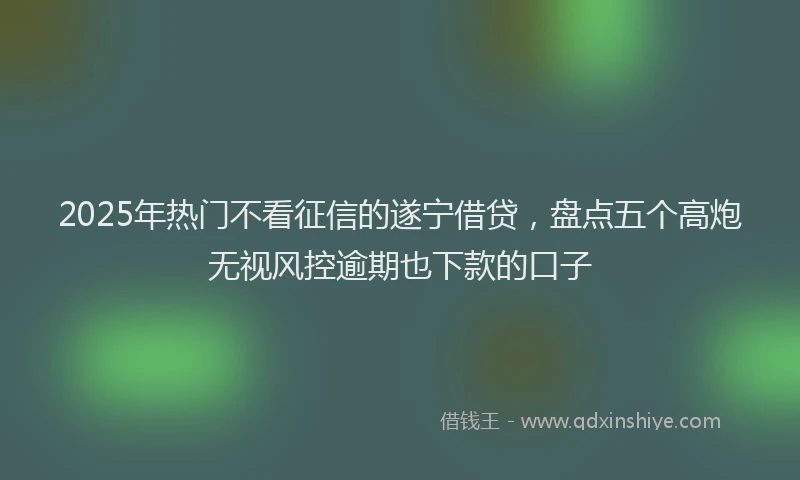 2025年热门不看征信的遂宁借贷，盘点五个高炮无视风控逾期也下款的口子
