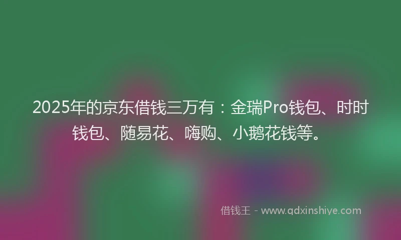 2025年的京东借钱三万有：金瑞Pro钱包、时时钱包、随易花、嗨购、小鹅花钱等。