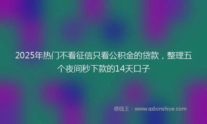 2025年热门不看征信只看公积金的贷款，整理五个夜间秒下款的14天口子