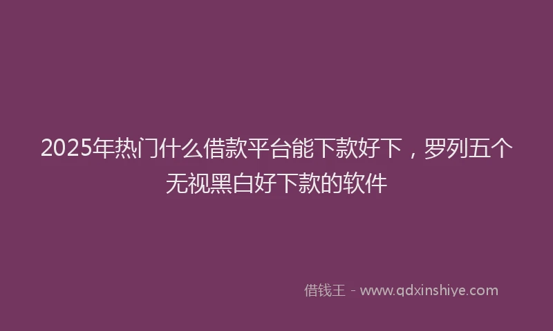 2025年热门什么借款平台能下款好下，罗列五个无视黑白好下款的软件