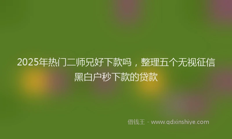 2025年热门二师兄好下款吗，整理五个无视征信黑白户秒下款的贷款
