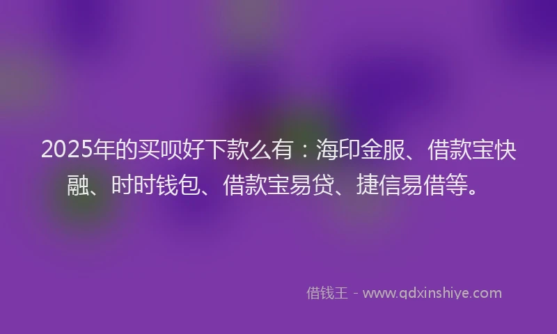 2025年的买呗好下款么有：海印金服、借款宝快融、时时钱包、借款宝易贷、捷信易借等。