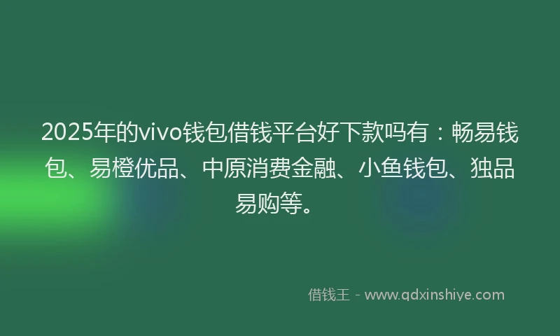 2025年的vivo钱包借钱平台好下款吗有：畅易钱包、易橙优品、中原消费金融、小鱼钱包、独品易购等。